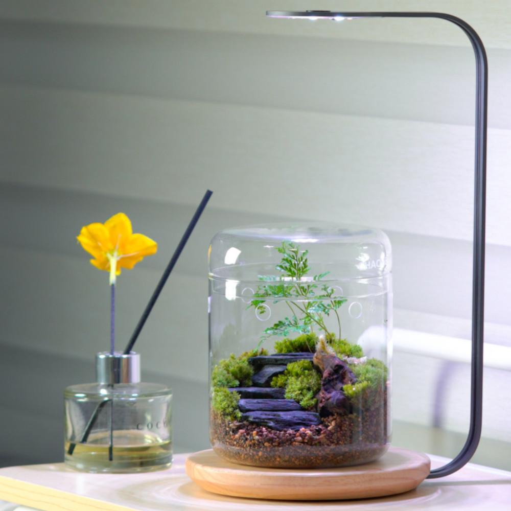 돌계단 테라리움 키트 DIY 이끼 정원 만들기