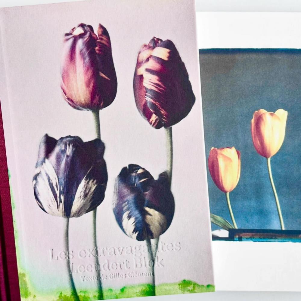 [린덜트 블록] [Leendert Blok] - Les extravagantes