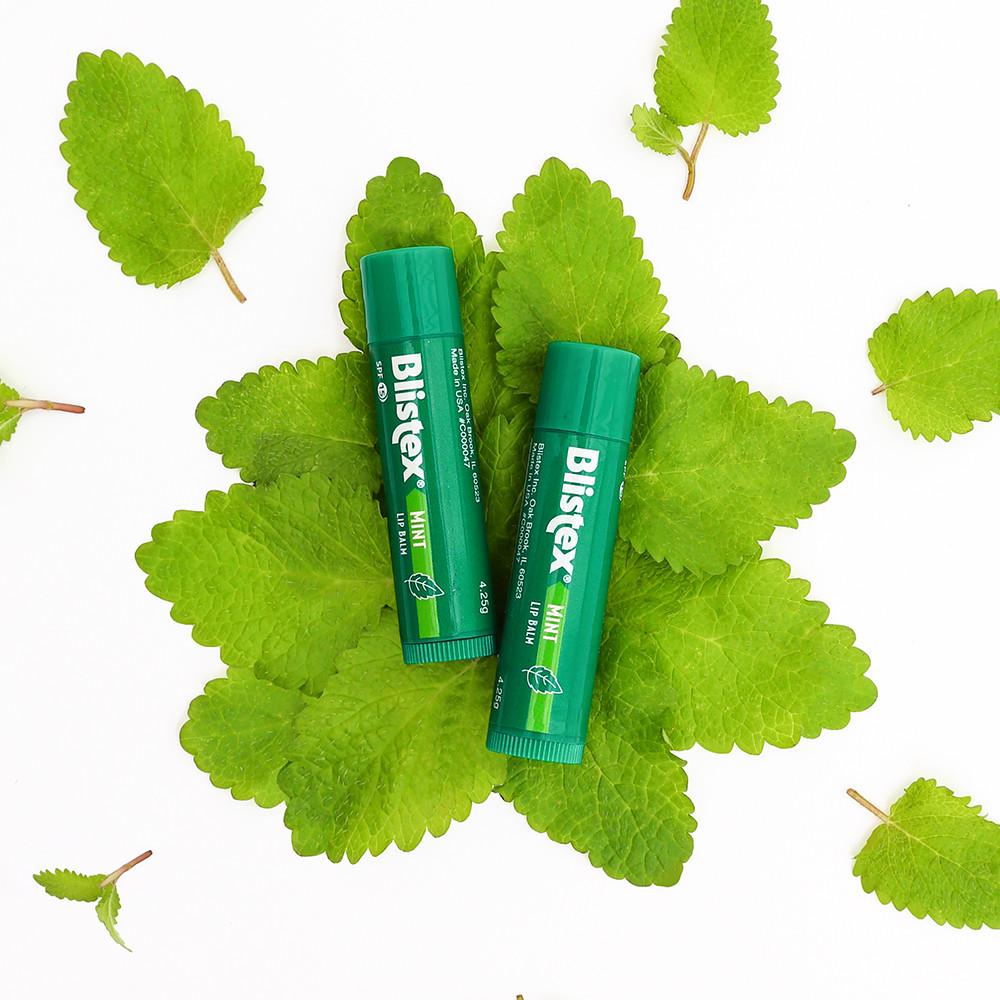 블리스텍스 민트 립밤 4.25g