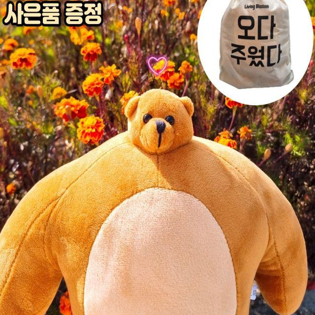 NEW소두곰 인형 곰동석 어깨깡패 남친닮은인형 머리작은인형 애착인형 헬스곰돌이