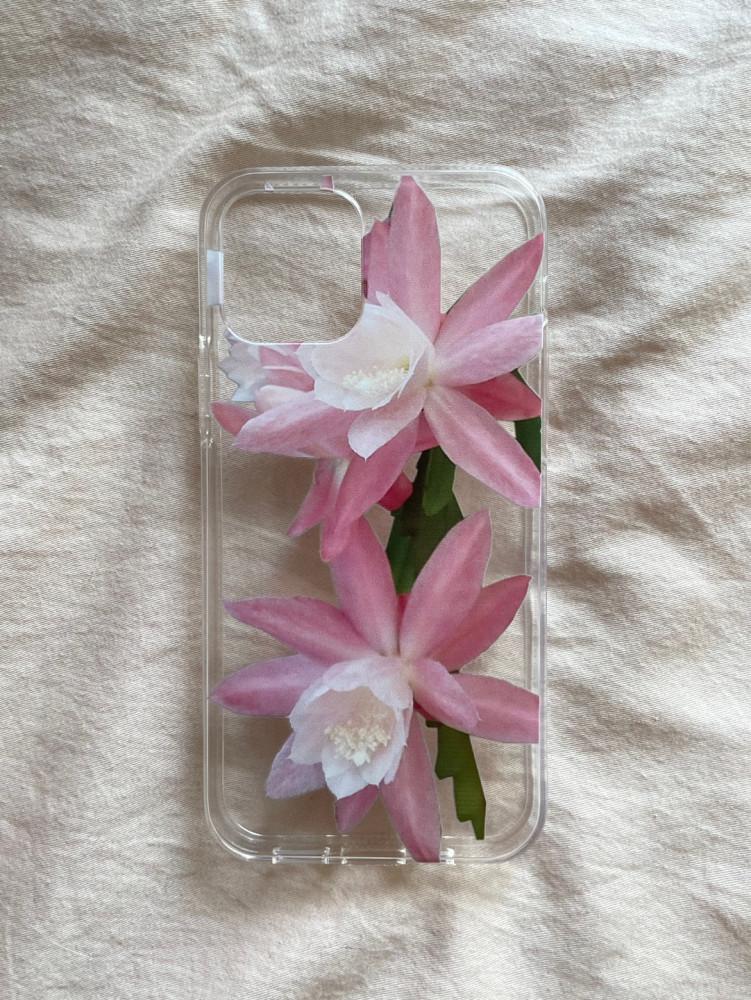 cactus flower case