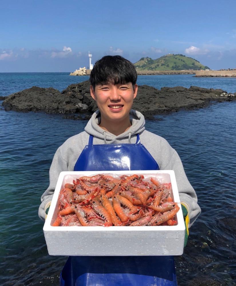 산지직송 제주도 자연산 프리미엄 딱새우 1kg 대사이즈 딱새우회 [원산지:국산(제주특별자치도 제주시)]