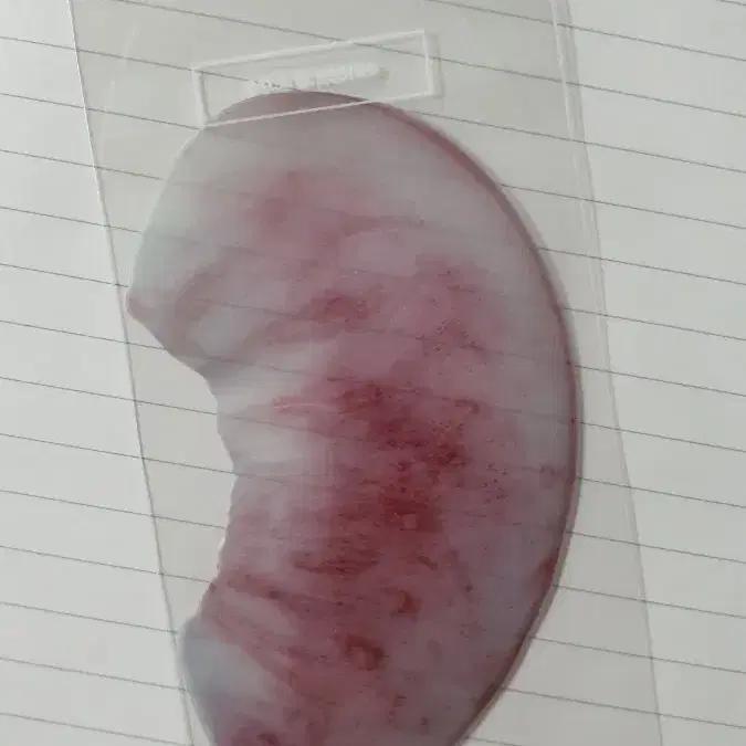 옥토 책갈피 백도 새상품