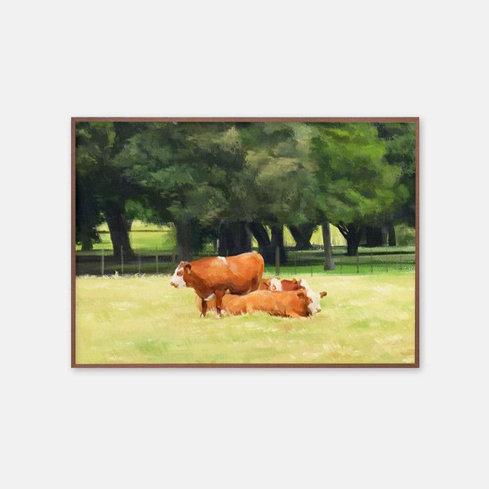 뉴질랜드의 소들 포스터