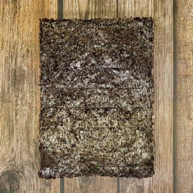 ❤️김꽃순 곱창김 50장 건어물녀❤️