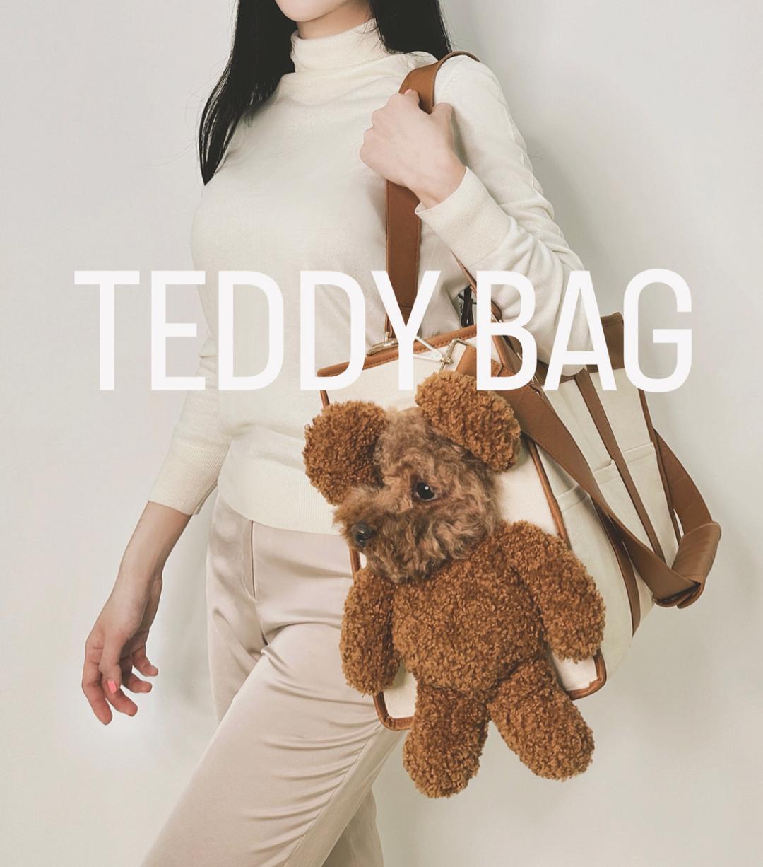 테디백 1차 오더 (사전예약기간)