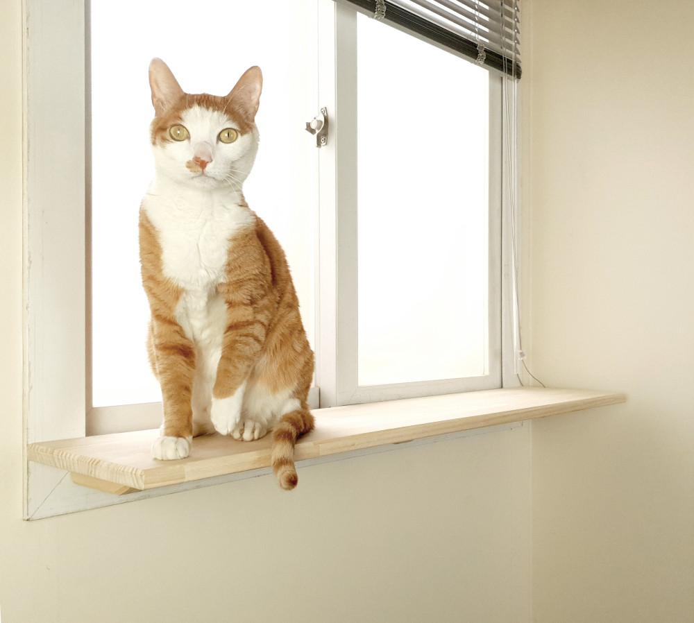 윈도캣 고양이 창문 캣워커 캣선반 120cm