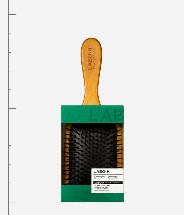 스칼프클리닉 우드 브러쉬 1입