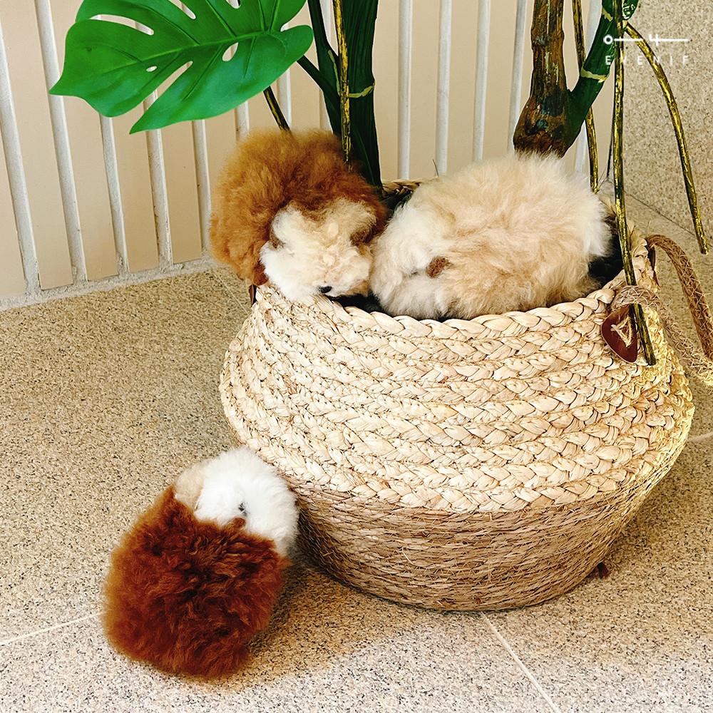 기니피그인형 L 페루 알파카 퍼 장식인형