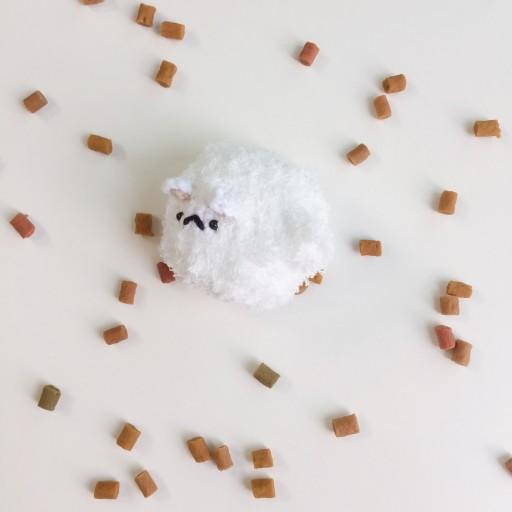 메에 버즈라이브케이스🐑