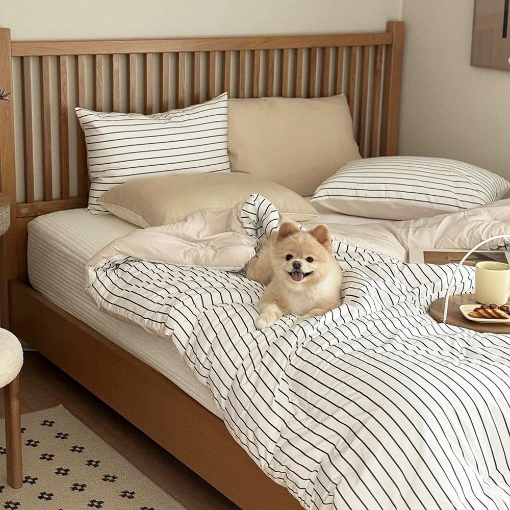 반려동물과 함께 쓰는 알러지케어 나란히 차렵 이불 단품 SS