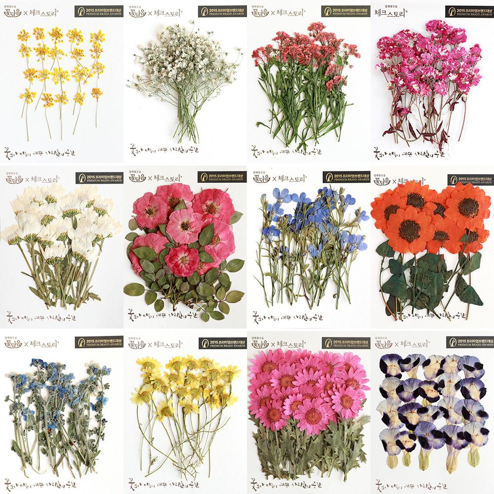 압화꽃모음 줄기꽃 레플줄기 20개 옐로우