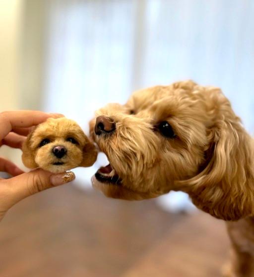 양모펠트 키링 주문제작