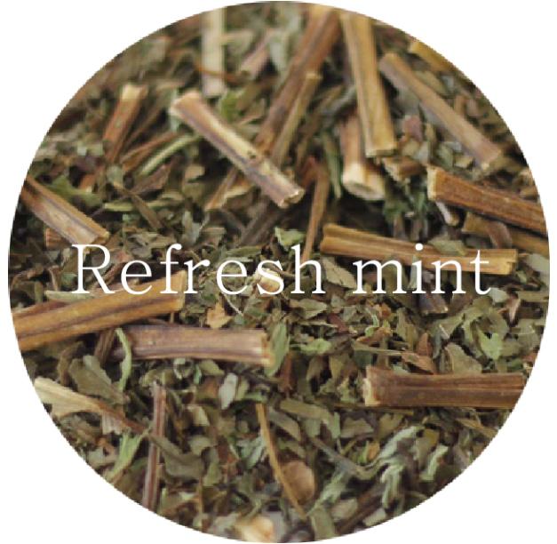 리프레쉬 민트