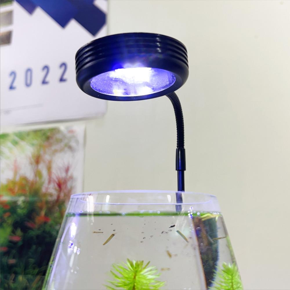 나무받침 LED 조명 15큐브 20큐브 테라리움 조명