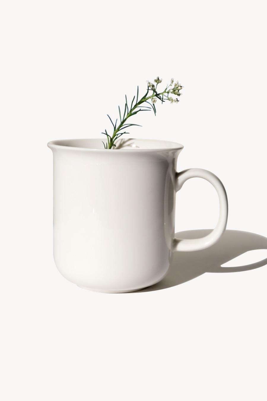 Arabia Finland Arctica Mug