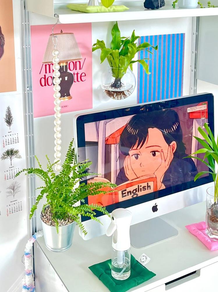 [디자인화분] 행잉식물 진주 더피고사리 반려식물 카페 인테리어 화분 벽장식