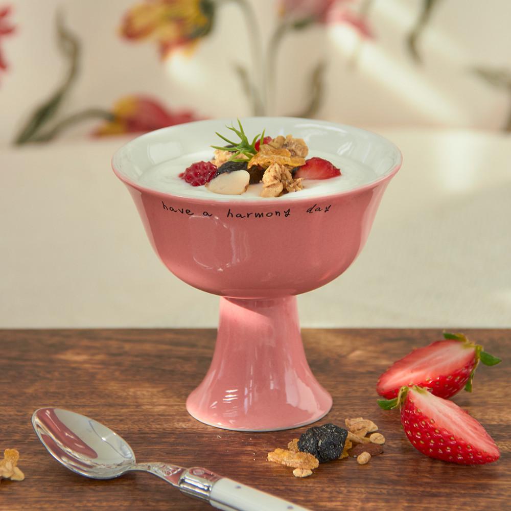[순류] 스트로베리 요거트 볼 strawberry yogurt bowl