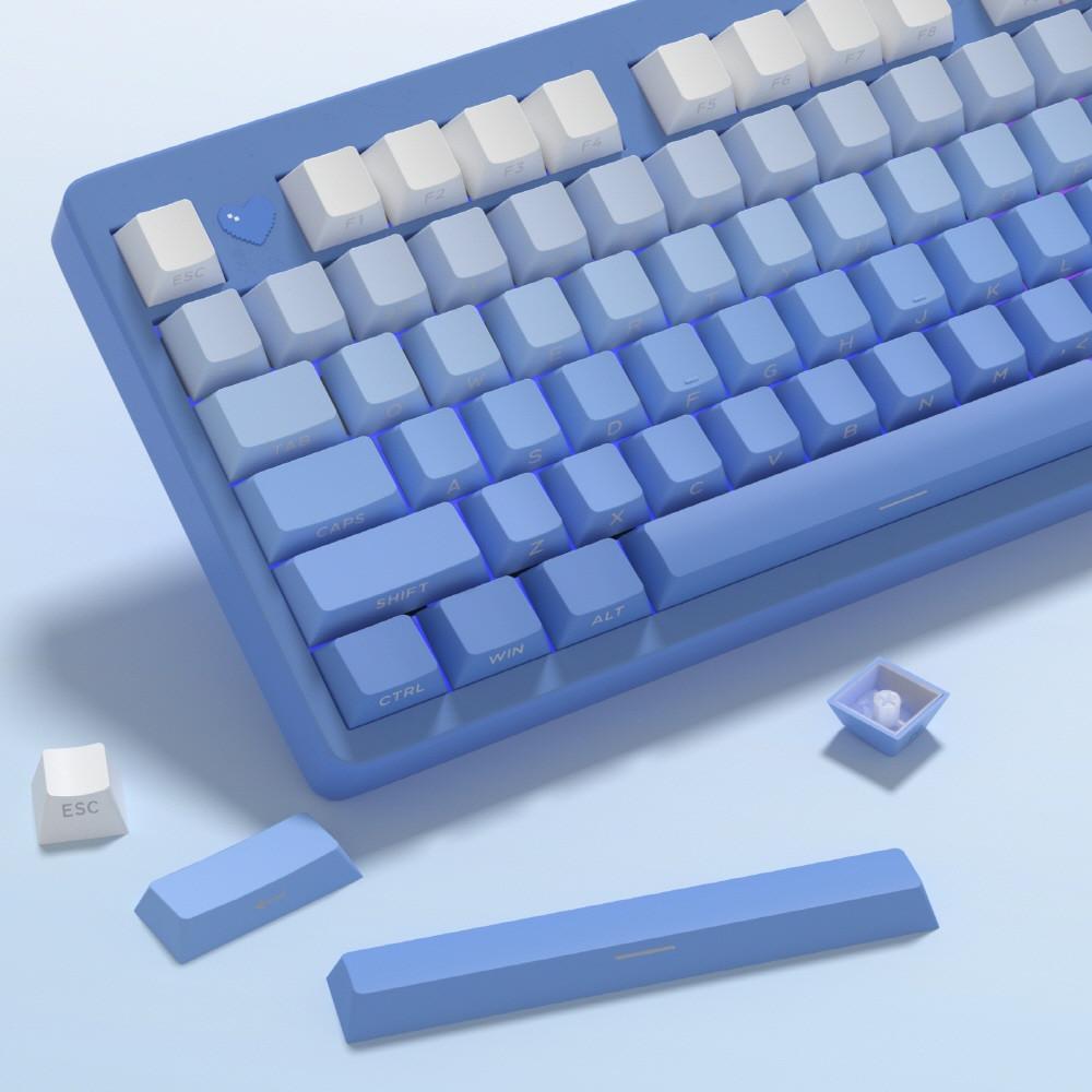 OEM 정각/측각 LED투과 컬러 그라디언트 키캡 PBT 독거미 레이니75 (12가지)