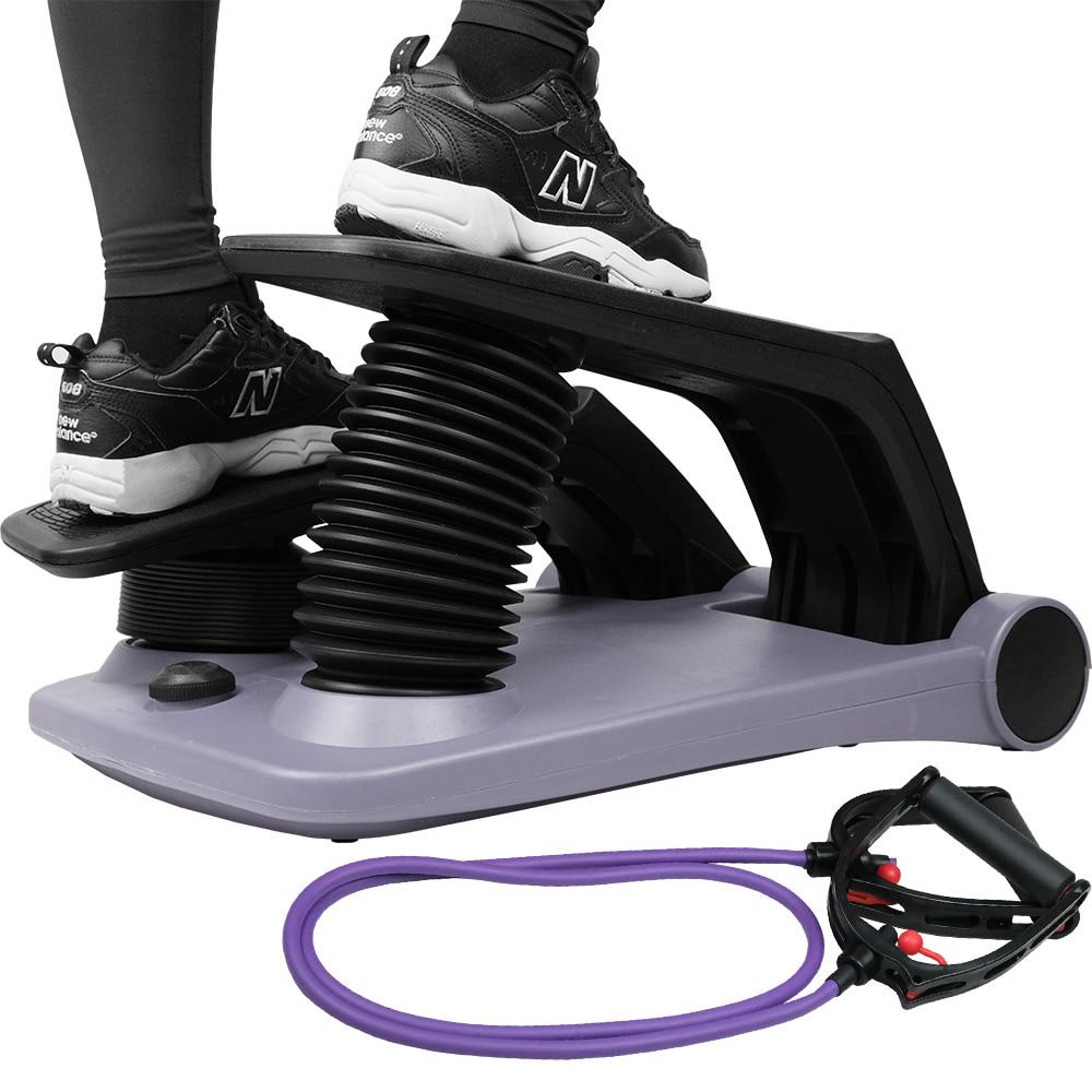 바디스터 스텝퍼 펌프맥스