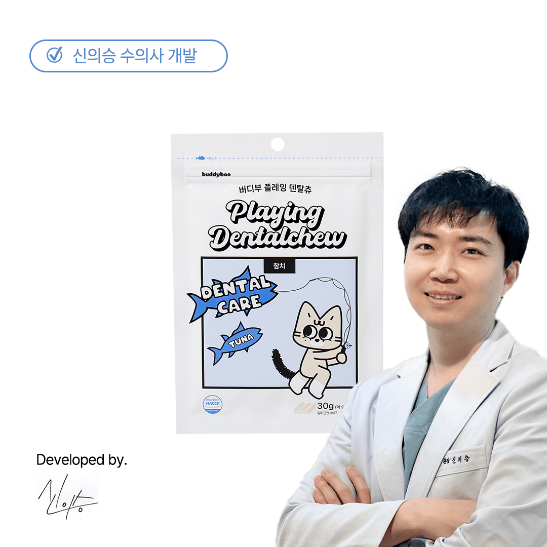 버디부 플레잉 덴탈츄 참치맛, 수의사가 만든 고양이 덴탈관리 간식