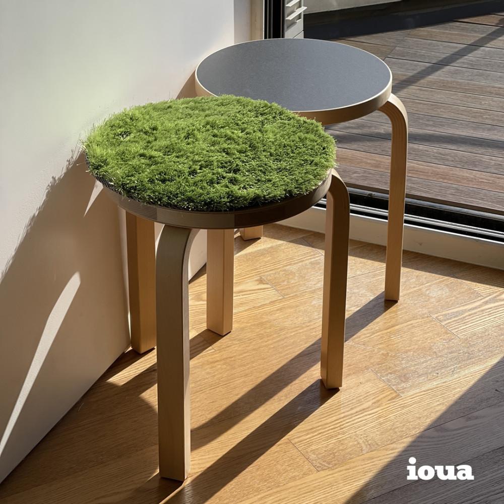 그래스패드 플랜테리어 소품 미니 러그 포인트 매트 잔디 방석 GRASS PAD