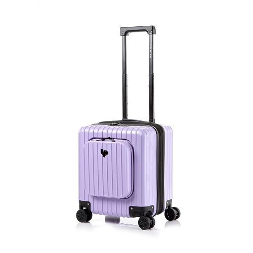 고비욘드 시즌2 퍼플로즈 기내용 17형