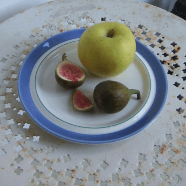 [VINTAGE] Arabia finland balladi Plate 17cm