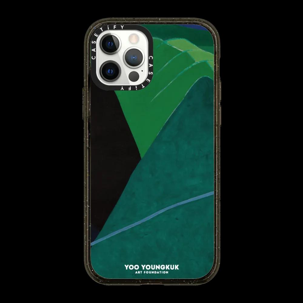Yoo Youngkuk Mountain 1974 Case