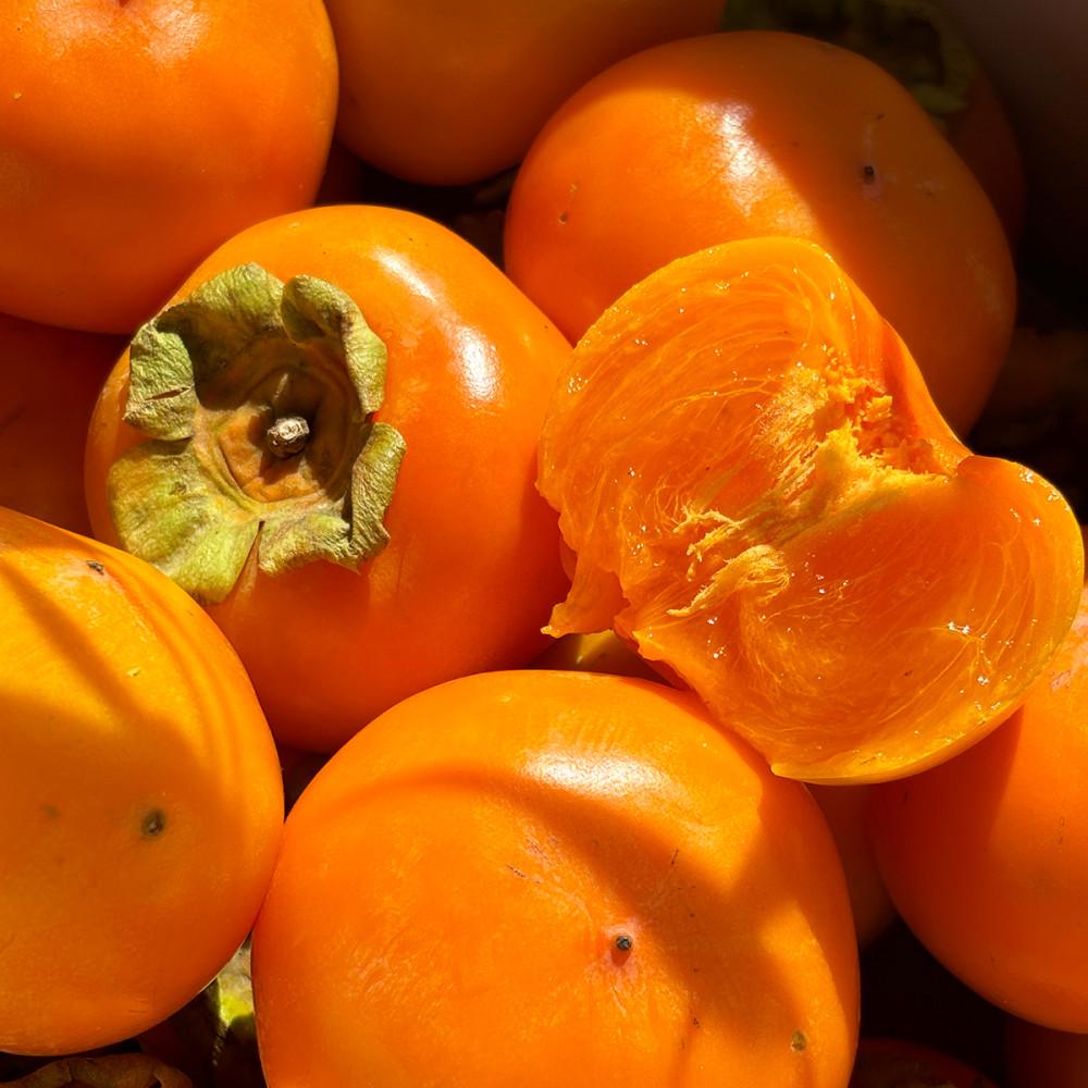 근기네 청도 반시 연시 홍시 씨없는 감 단감 배단감 2kg