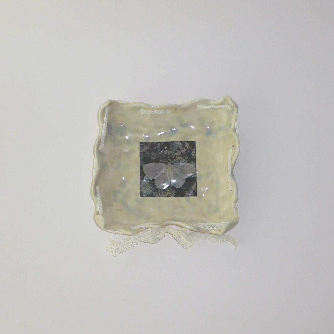 Lace ribbon moth photo tray