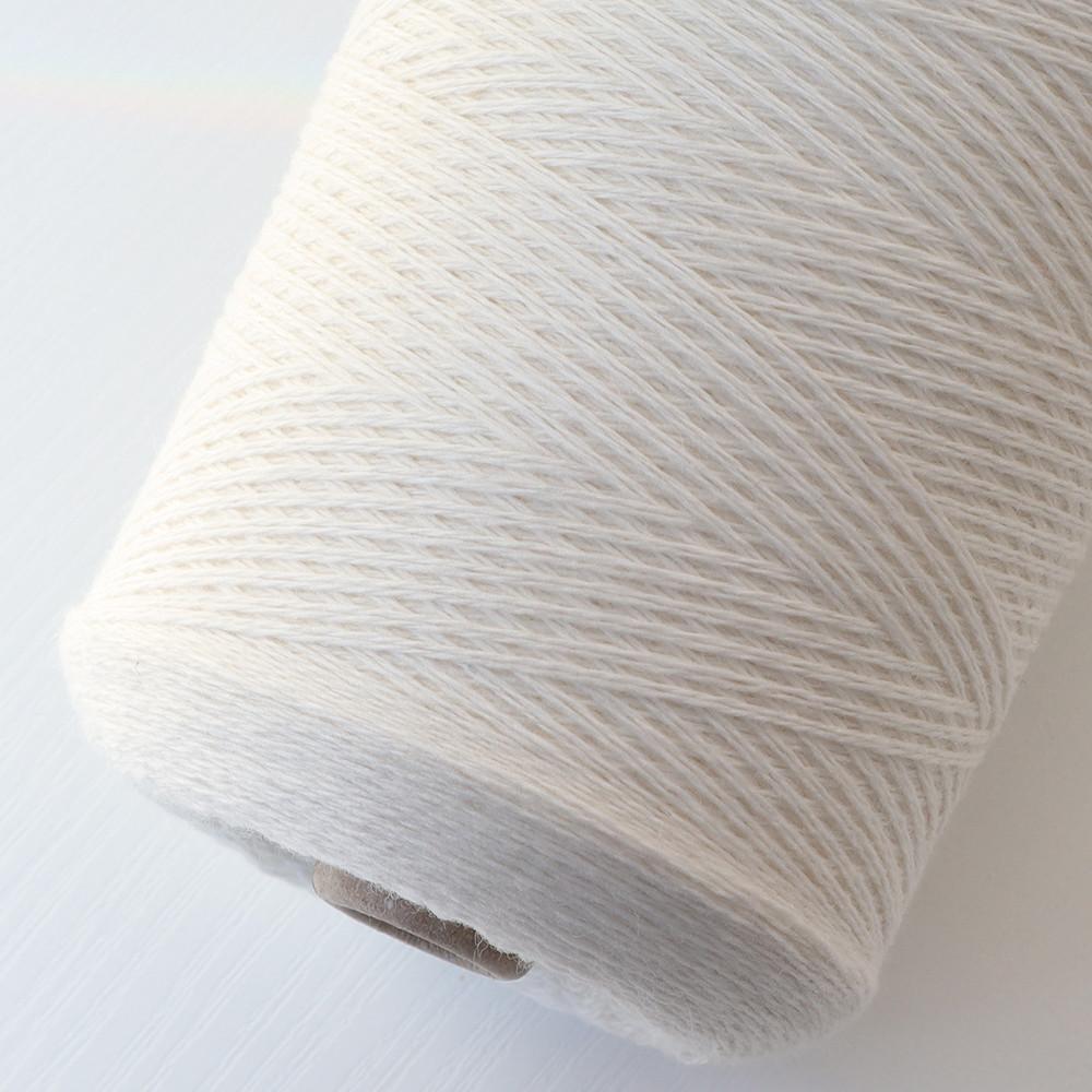 [태즈매니아] 데이지 화이트