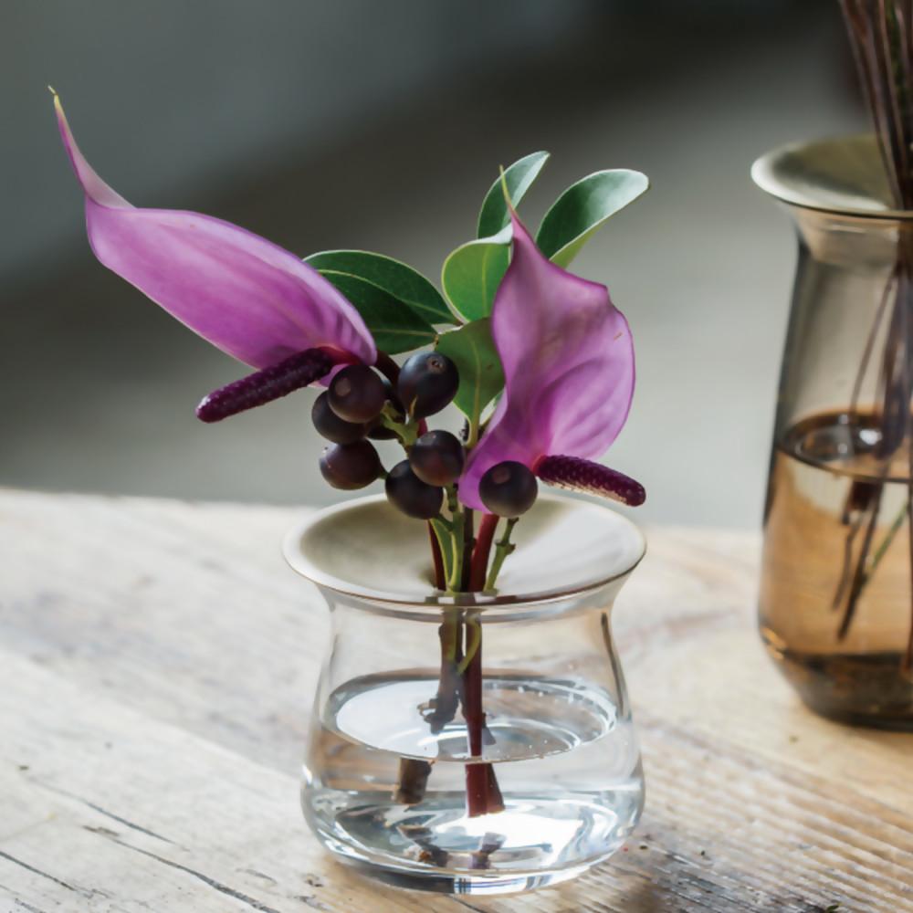 킨토 루나 유리화분 소 (투명)