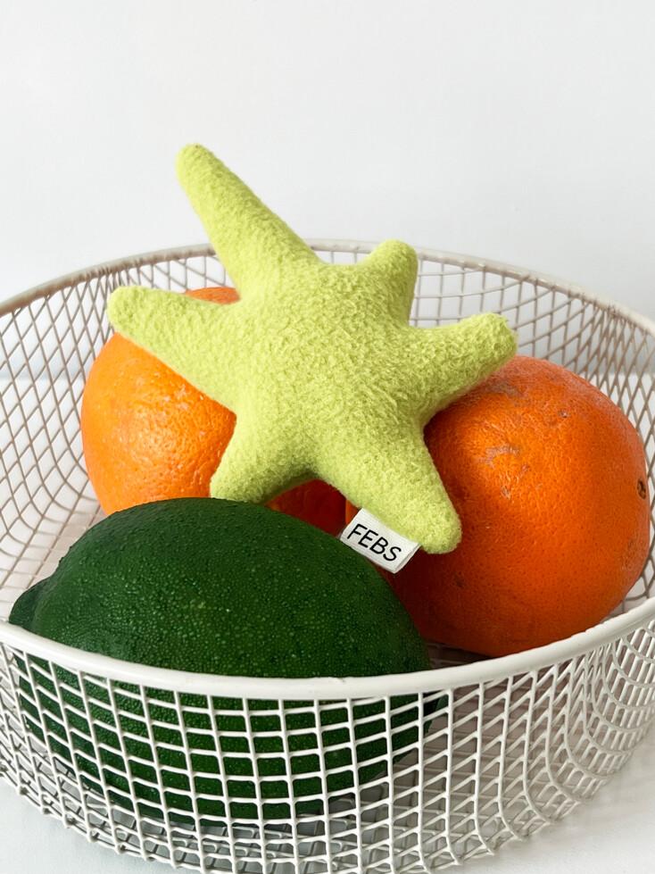Lime Starfish Magnet