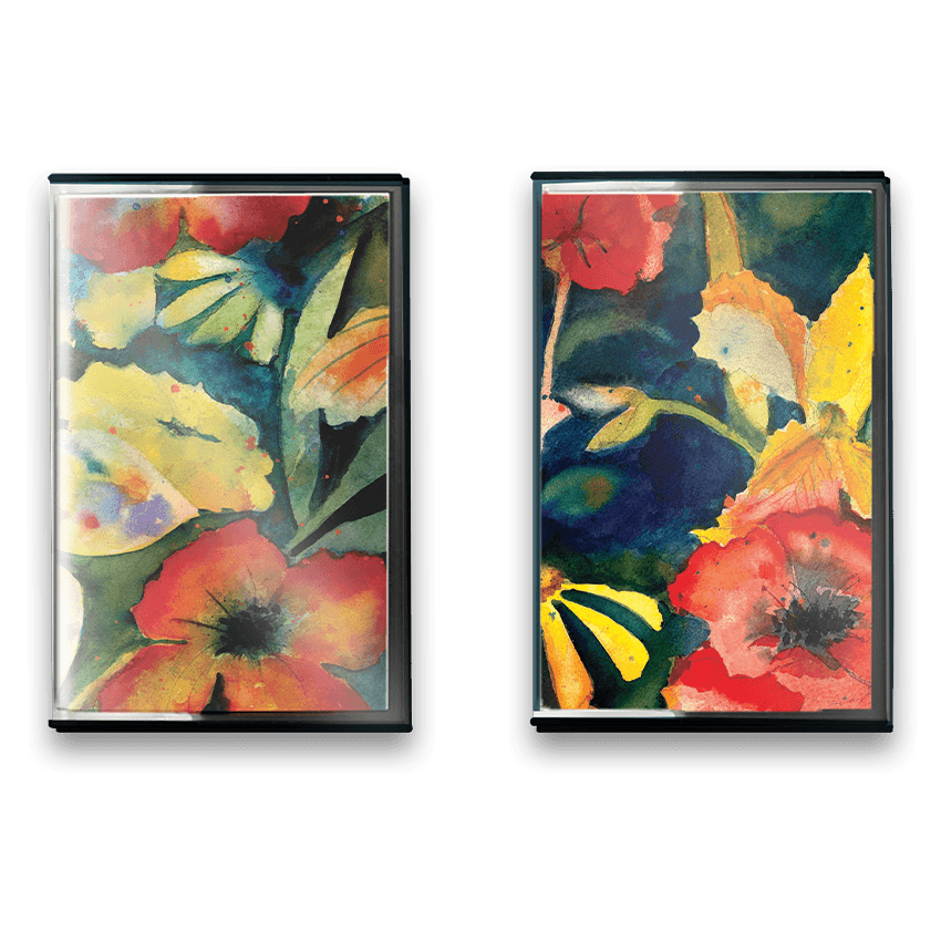 songs and instrumentals 2xcassette
