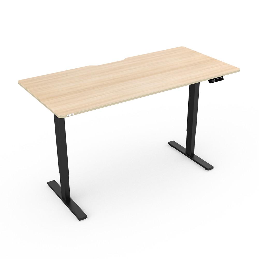 핏쳐 전동식 모션 데스크 스탠딩책상 커스터마이징 E1 PLUS프레임(상판불포함)