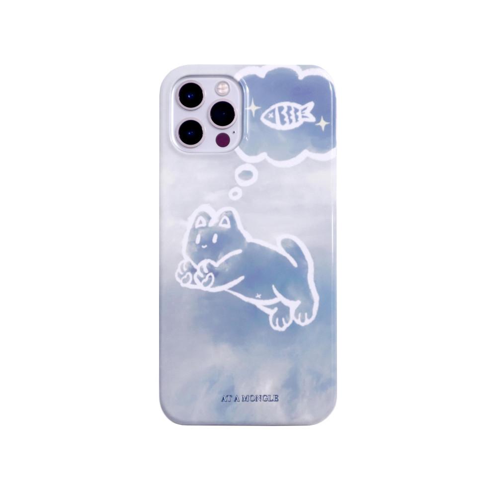 CAT ON THE CLOUDS CASE
