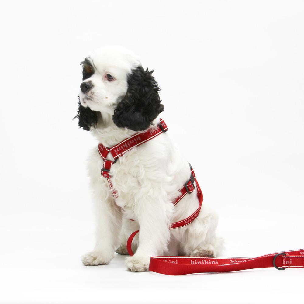ORIGINAL KINI LOGO HARNESS-RED(하네스-H형)