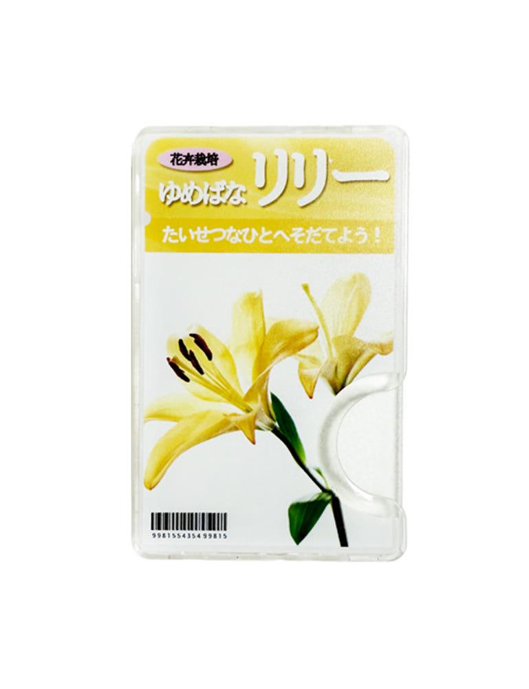 릴리 씨앗 맥세이프 투명 카드지갑