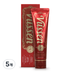 오스템 뷰센 S 시린이케어 치약 후레쉬 민트향  120g, 5개