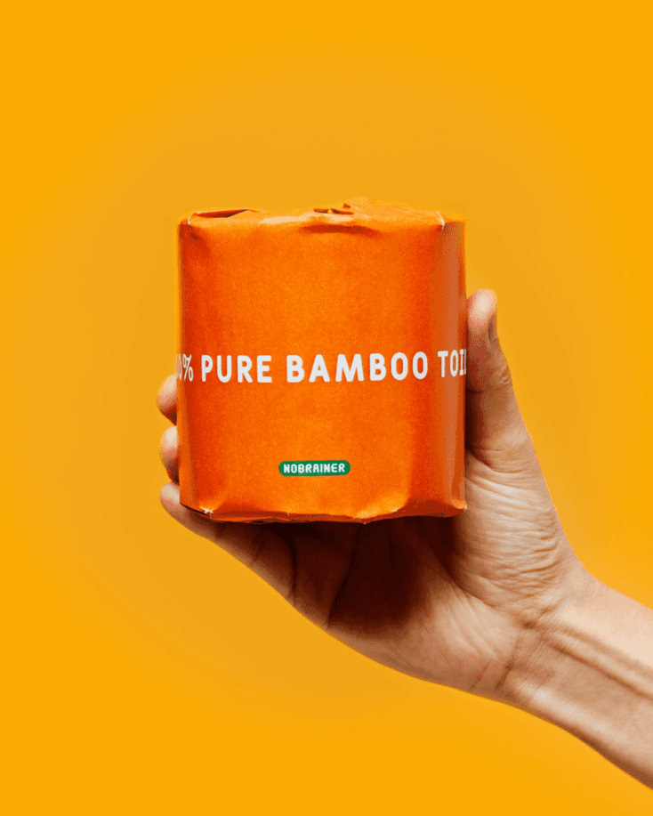 비욘드 페이퍼 100% 순수한 대나무 휴지(12롤)