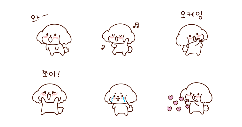 세숑 쪼꼬매졌숑