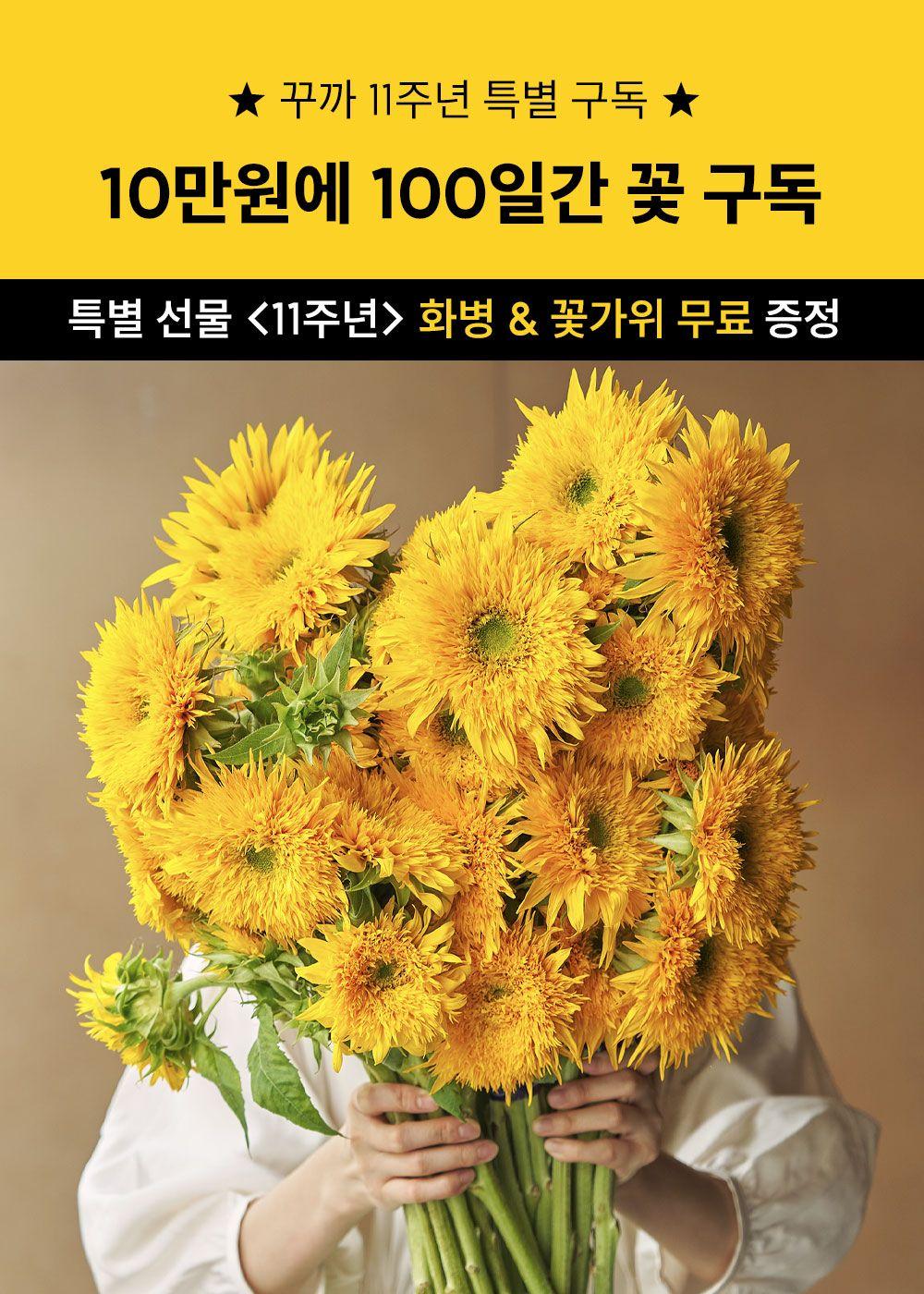 ★ [11주년 특별구독] 100일간 10만원으로 꽃 구독 - 5대 여름 꽃 부수기
