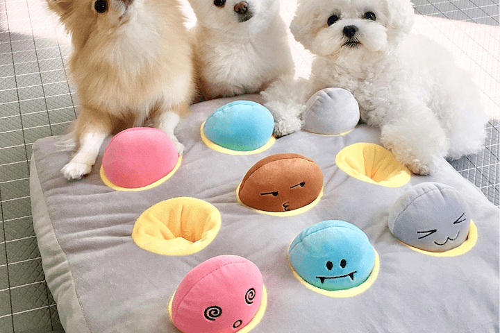 두더지 강아지 노즈워크 장난감