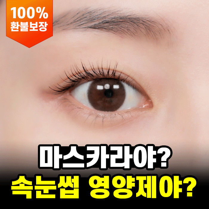 메리쏘드 릴롱 래쉬 2종