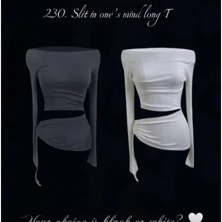 [HIGH Q] 230. Slit in one's mind long T (2colors)
