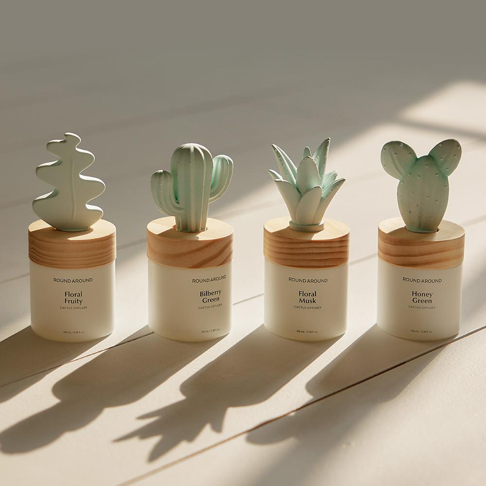 라운드어라운드 선인장 디퓨저 100ml 4종 택1