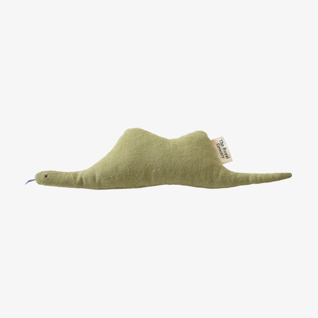 Boa Snake