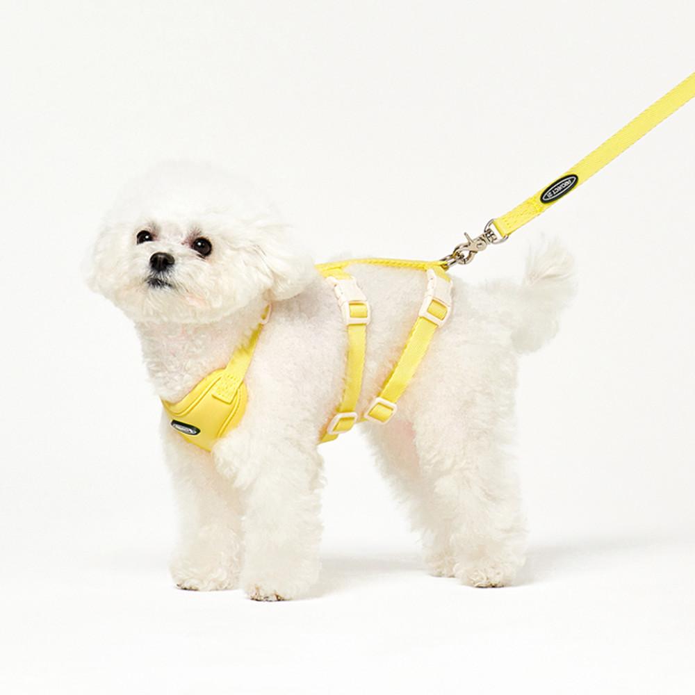 프로젝트21 리프팅 하네스 강아지 관절 보호 가슴줄 소형견 뒷다리 슬개골 탈구 세트