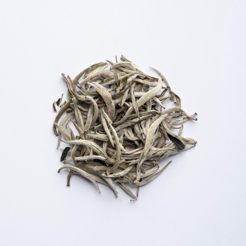 [2023운남백차] 대은침 20g